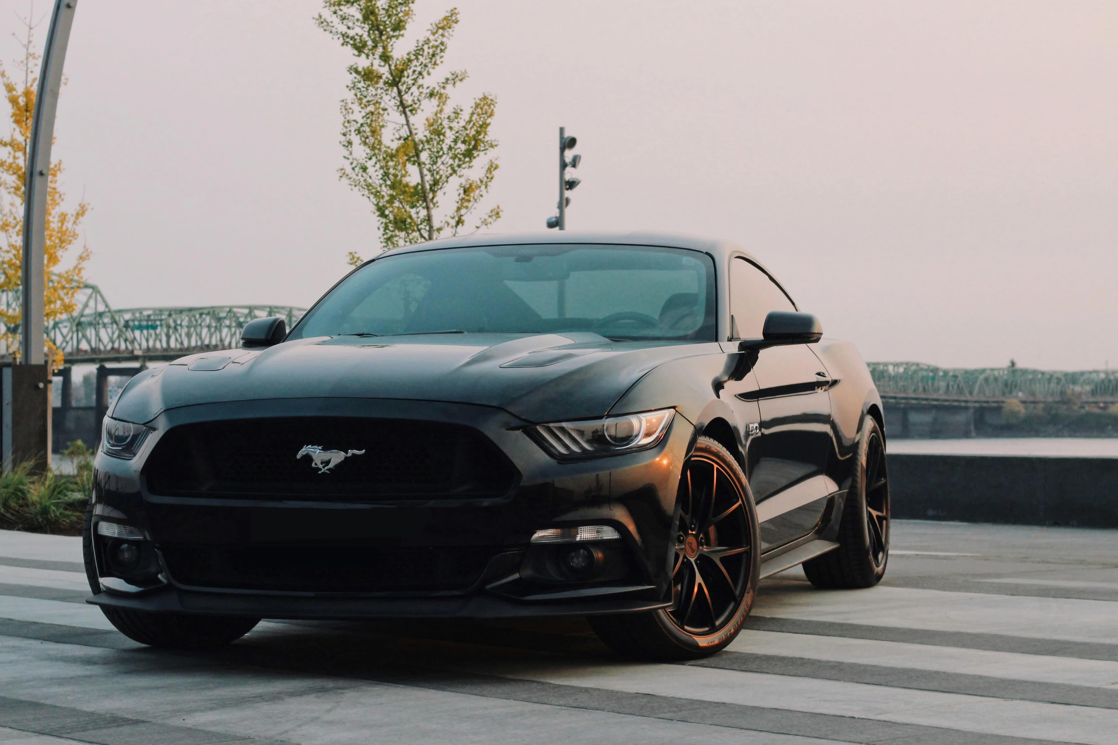 The Ford Mustang Stands Alone at the Top of the Sports Car Mountain