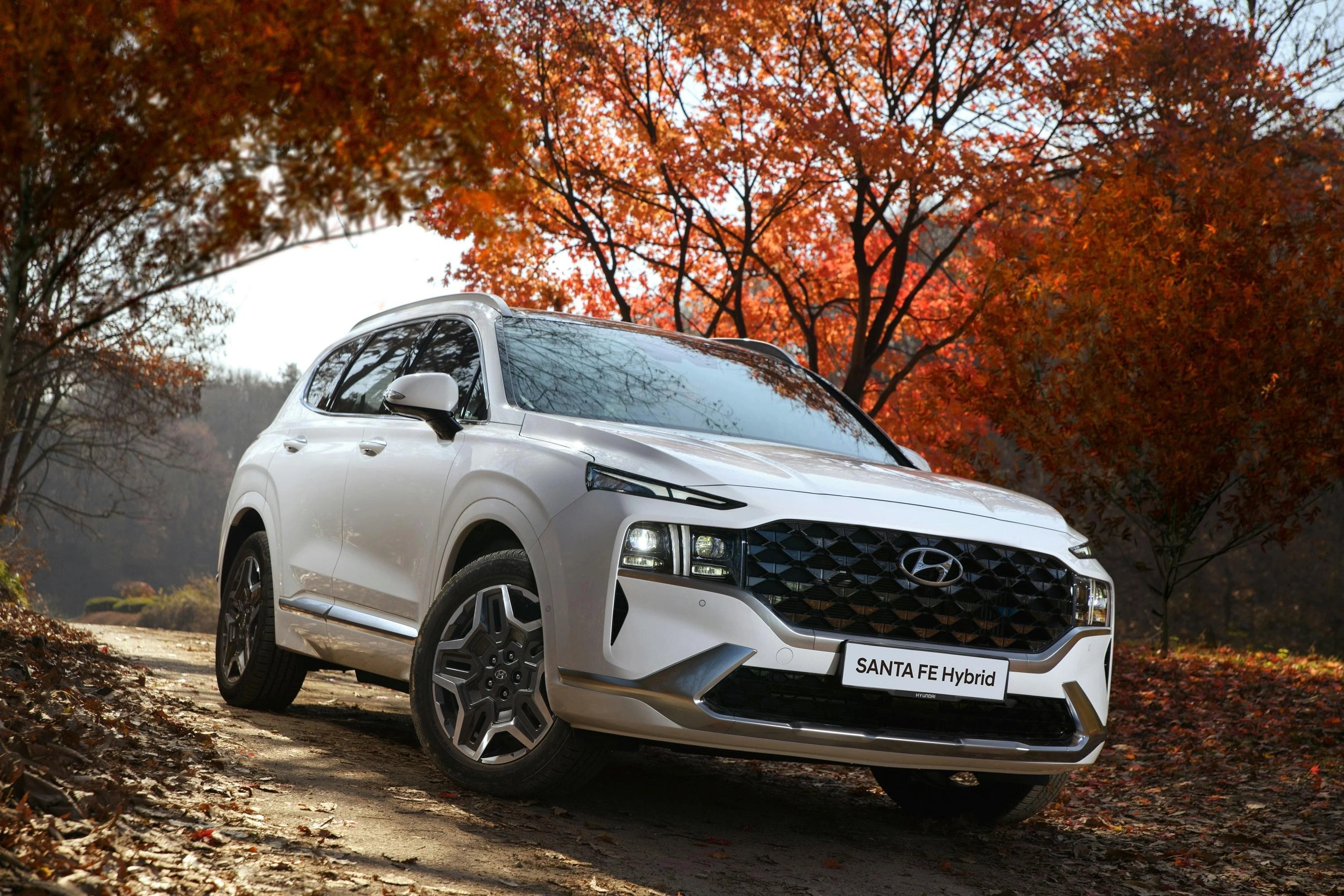 Hyundai Recalls 143,000 Santa Fes Because The Backup Camera Is Ghosting You
