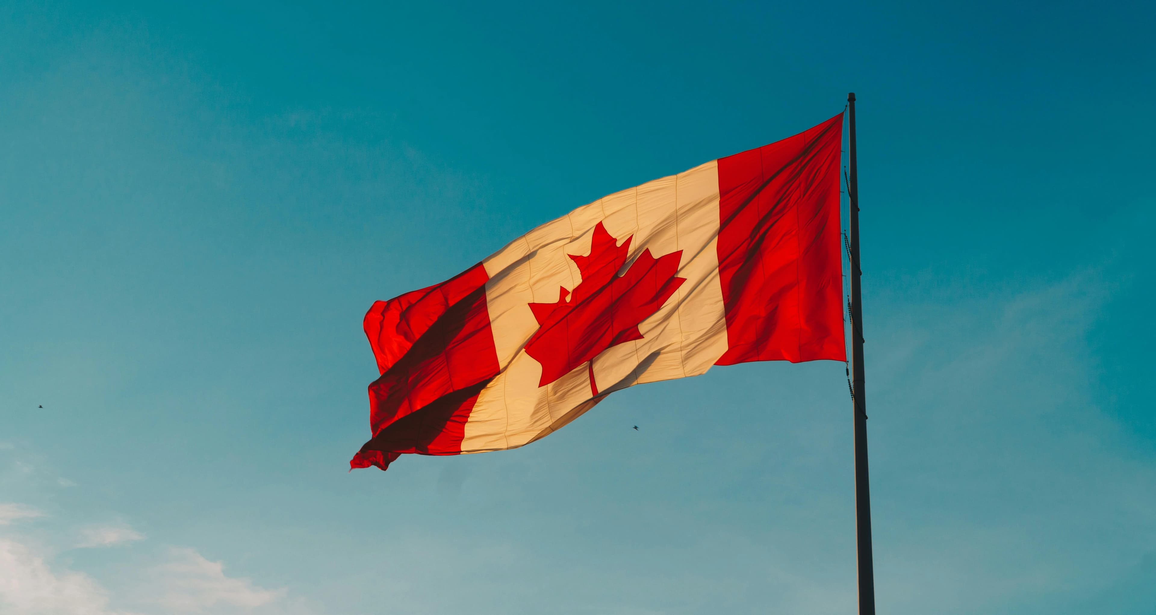 Chinese Car Brands Are Practicing For The U.S. In Canada