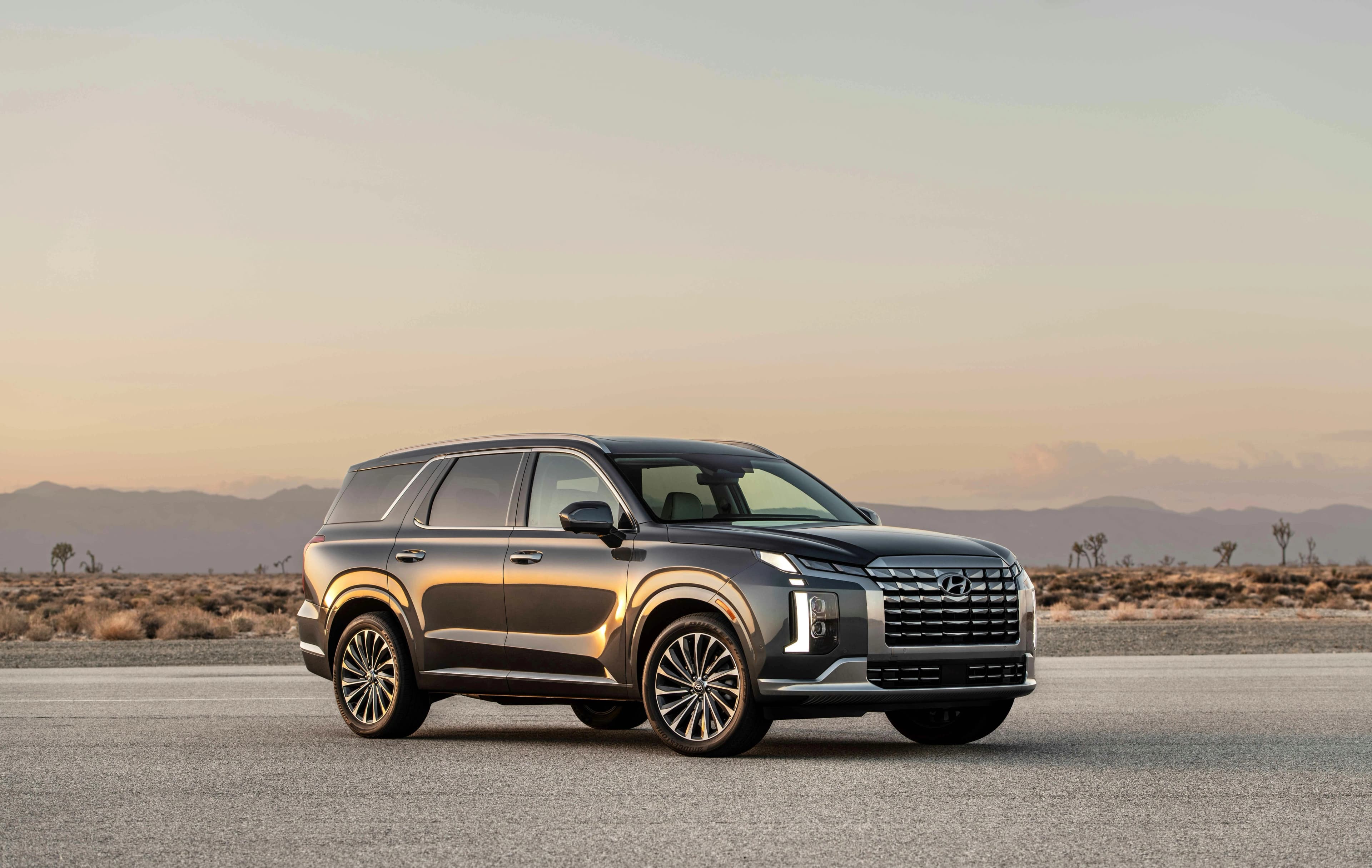 Hyundai’s Palisade Airbag Blunder: A Very Selective Safety Net